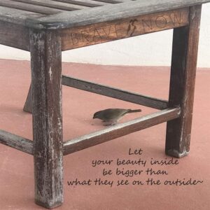 Beauty Inside